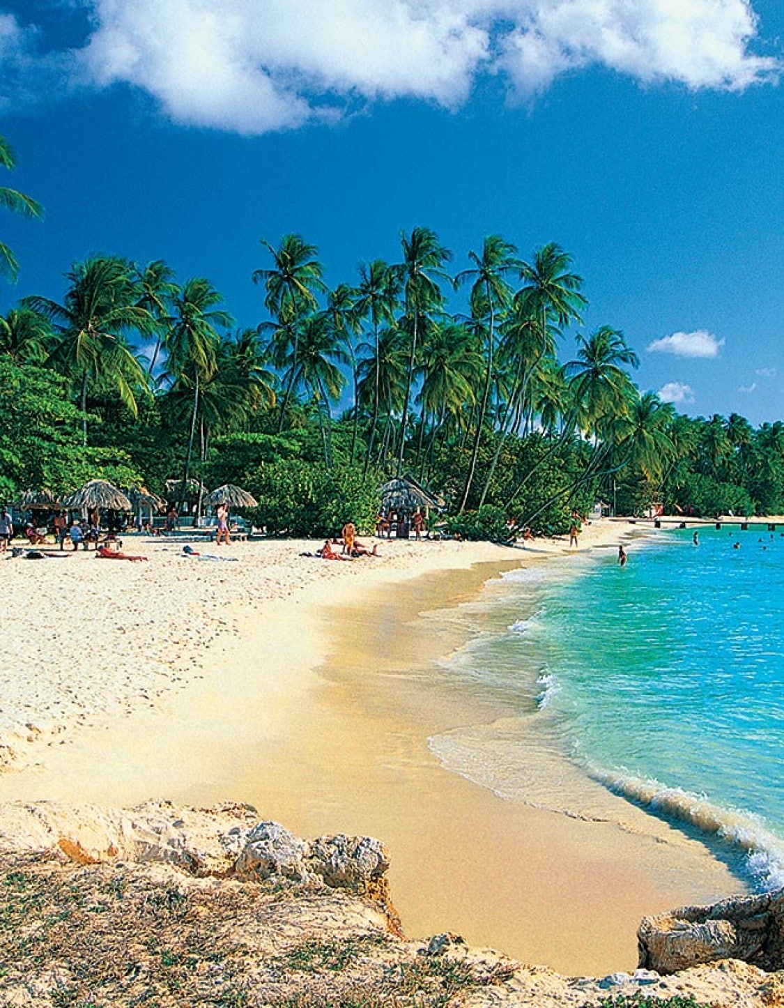 Cruises to Tobago Scarborough deals & bookings Costa Cruises